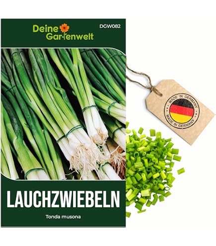 Frhlingszwiebel - Frhernte (300 Samen) : Amazon.de: Garten