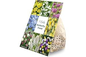 Bloomique - Mélange de 50 - Fleurs de 6 mois - Respectueux des papillons - Mélange de 8 variétés - Bulbes à fleurs - Floraison printanière - Plantes vivaces - Pousse de 5 à 70 cm