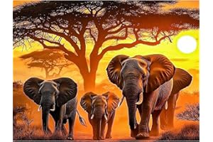 KEYIFA Elephants Paint by Numbers for Adults, Painting by Number Canvas Kits with Acrylic Paint Brushes, DIY Animal Craft Oil Painting Art Kits for Adults, Home Wall Decor 40x30cm