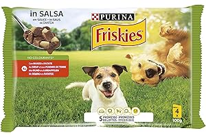 Purina Friskies Umido Cane Bocconi in salsa Manzo e Patate, 40 Buste da 100g