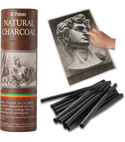 Compressed Charcoal Set 12-Piece Graphite & Charcoal Sticks Set ...