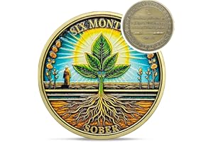 IELCJJ Original Sechsmünze Nüchternheit – Wiedergeburt Sapling 6 Monate AA Münzen – Recovery Addiction NA AA Chips und Medaillons – Feiern Sie saubere 1–12 Monate Narkotiker, Alkoholiker, Anonyme Geschenke