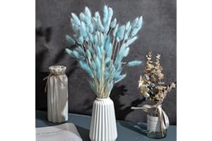 CHBOP 120 x Getrocknete Pampasgras Pampas Deko Trockenblumen Trockenblumenstrauß Natürliche Blumendekoration Gräser für Hochzeit Innendekoration Schlafzimmer Wohnzimmer (Hellblau)