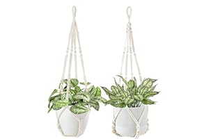 Mkouo Planta de macramé Percha Heavy Duty Patio Deck de balcón Techo para recipientes Cuadrados Redondo macetas para Interiores y Exteriores Plantas Decorativas - Cuerda de algodón
