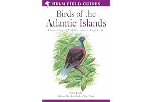 Field Guide to the Birds of the Atlantic Islands: Canary Islands, Madeira, Azores, Cape Verde