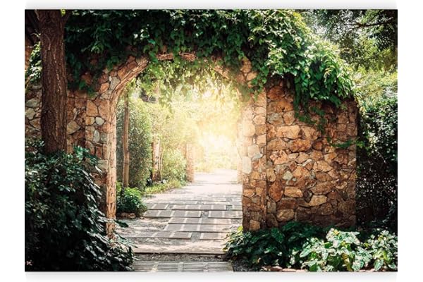 murando Fotomurales autoadhesivo 3D Efecto 343x256 cm Papel Pintado Decoración de Pared Murales Pegatina decorativos adhesivos 3d moderna de Diseno Fotográfico Naturaleza Pergola f-B-0294-a-a