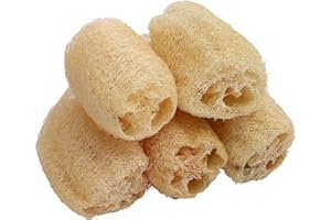GENÉRICO Estropajo Natural de Luffa Ecológica(5 pcs) - Almohadilla de Lavado Natural Pesada para ollas, Esponja respetuosa con el Medio Ambiente y Reutilizable, Adecuada para Cocina/plantación