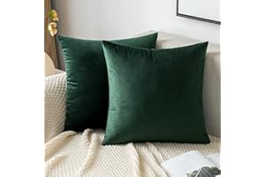 EMEMA Velvet Cushion Covers Dark Green Decorative Throw Pillow Case 16x16 Inch 40x40 cm Pillow Covers for Livingroom Sofa Bedroom Pack of 2