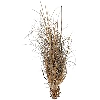 Lucky Reptile DLG-01 Grasbüschel ca. 25-40 cm