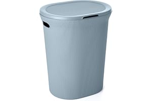 Tatay Cesto de Ropa Baobab, 40 L de Capacidad, de Polipropileno, Libre de BPA, con Tapa, Color Azul (Mist), Medidas: 41 x 33 x 50 cm