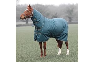 Shires Typhoon 200g Mediumweight Combo Turnout Rug - Green