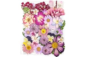 YoothBro: 37 czerwonych suszonych kwiatów do form z żywicy, biżuterii, makijażu, etui na telefony i dekoracji domu