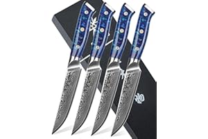 SANMUZUO Ensemble de couteaux à steak de 4 pièces, couteau à steak de cuisine ultra-tranchant non dentelé de 5 pouces - Acier de Damas et manche en résine - Série Xuan(Bleu Saphir)
