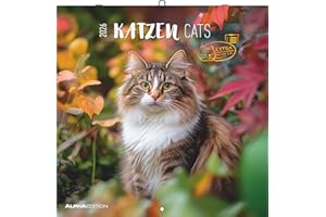 Katzen 2026 - Broschürenkalender 30x30 cm (30x60 geöffnet) - Kalender mit Platz für Notizen - Cats - Bildkalender - Wandplaner - Katzenkalender: Cats