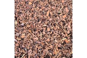 rohstoffpost Pinienrinde 70L 8-16 mm Pinienmulch Rindenmulch