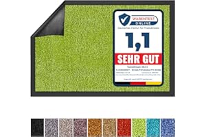 ‎FLOORDIREKT Floordirekt Schmutzfangmatte Rhine - waschbare & leistungsstarke Fußmatte - Sauberlaufmatte mit Rutschfester Rückseite - Türmatte für den Eingangsbereich (Grün, 40 cm x 60 cm)