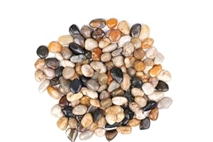 Winter Shore 2,25 kg Rocas de Río para Plantas - Piedra Decorativa Pulida para Manualidades - Piedras Decoracion Jardin, Relleno Jarrones, Acuarios, Suculentas- 2 a 4 cm, Aprox. 170 Piezas por Bolsa
