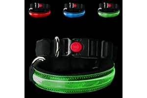 PETTY Regulowana świecąca obroża LED dla psa – Ładowana przez USB, oddychająca obroża z regulowanym zapięciem i zabezpieczeniem przed uduszeniem – Dla małych, średnich i dużych psów (2XS Zielony)