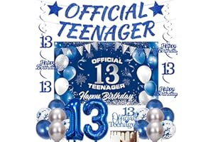 YTEWFGL 13th Birthday Decorations Blue Banner - 20 Pcs Official Teenager Banner Happy Birthday Backdrop Number 13 Foil Balloon Hanging Swirls Silver Latex Balloons for Boys Party Supplies