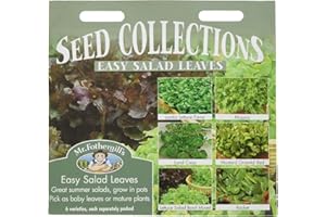 MR FOTHERGILLS Mr Fothergill's 15517 Vegetable Seeds, Easy Salad Leaves, Red