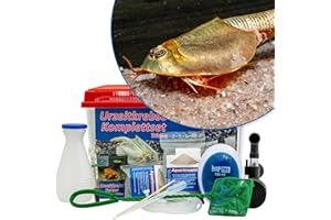 AQ4Aquaristik Triops longicaudatus Komplettset 6 l mit ca. 200 Urzeitkrebse Eiern: Aquarium, Filter, Luftpumpe, Zubehör, Futter und Anleitung