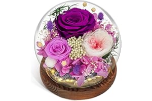 CSYY Rosa Eterna LED Luces Infinito Flor Preservada Bola de Cristal Vidrio Morado y Austin con Hortensias y Flores de Arroz para Mujeres Mamá Novia Esposa Día de Cumpleaños Púrpura