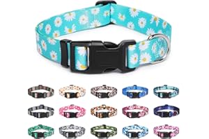 Suredoo Collare per Cani, Nylon Morbido Regolabile Collari per Cani, Gatti, Cuccioli di Taglia Piccola Media Grande (S, Blu Margherita)