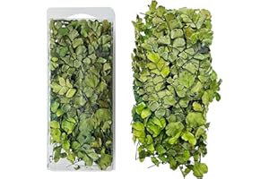 Woohome Miniatura Root Vine Vegetazione Treno Radice Modello Scene Pianta Stems Modello Scenario per Foglie Simulazione (Stile 3)