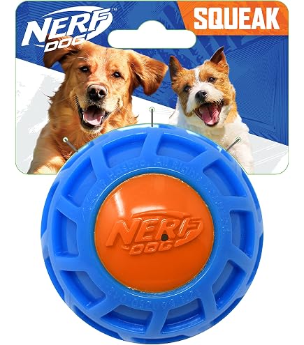 NERF Dog Sonic Ball Hundespielzeug – 2 Stück, Wasserabweisend, Für Alle Hunderassen (6,4 Cm)