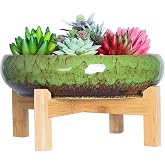 ARTKETTY Vasi per piante grasse, grandi vasi per bonsai in ceramica da 28 cm, con supporto di drenaggio, fioriere poco profonde per piante grasse da interno decorative per fiori e cactus