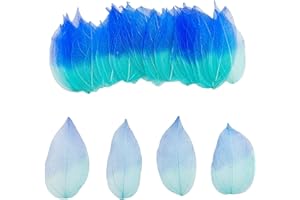 HAOBIN 50 sztuk naturalnych liści szkieletu suszone liście szkieletu naturalne suszone liście mieszane suche liście używane do diy Scrapbook craft card making (gradient niebieski)