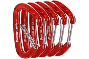 FresKaro 5 Clips de mosquetón, Clip de mosquetón de Alta Resistencia, Accesorio de Llavero pequeño y Resistente, Gancho de Cierre de Alambre con Resorte, 8 kN 816 kg, tamaño Mini