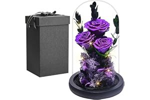 ‎PISKEKAT Echte Ewige Rose im Glas Kuppel, Frauen Geschenk Geburtstag, Die Schöne Und Das Biest Konservierte Rosen Blumen LED Licht, Muttertag Valentinstag Hochzeitstag Geschenk für Mama Freundin Ehefrau Oma