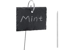 Navaris Set 10x Etichette per Piante in Ardesia 10x7cm - Cartellini Segnanome con Asta 40cm - Targhette in Pietra Scrivibili Giardino Orto - 2X Gesso