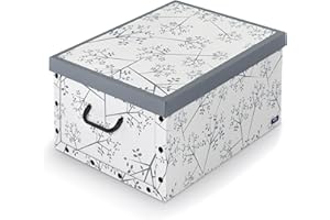 DOMO PAK LIVING Domopak Living 914505 Scatola in Cartone con Maniglie, Bon TON