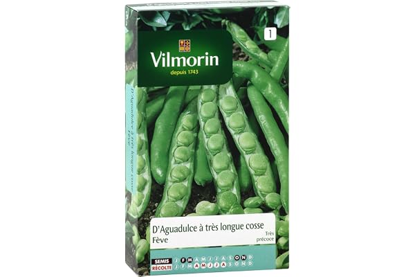 Vilmorin 1301651 Pack de Graines Fève d'Aguadulce à Très Longue Cosse