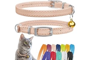 CollarDirect Collar de Piel para Gato Con Correa Elástica y Campana - Seguridad para Gatito (Cuello de 9 a 11 Pulgadas, Beige, Negro, Azul, Rojo, Naranja)