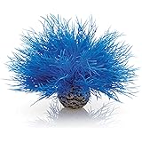 biOrb - Lys di Mare per Acquario, Colore: Blu
