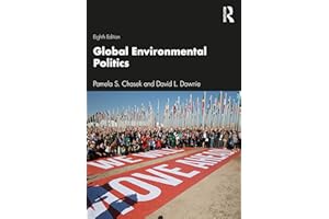 Global Environmental Politics (Dilemmas in World Politics)