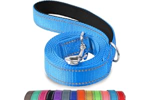 Joytale smycz dla psa z wyściełanym uchwytem, 122–182 cm, odblaskowe nylonowe smycze dla psów do treningu, smycz do spacerów dla dużych, średnich oraz małych psów