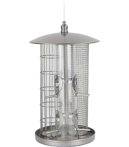 Vogelfutterstation Für Den Außenbereich, Eichhörnchen Sichere