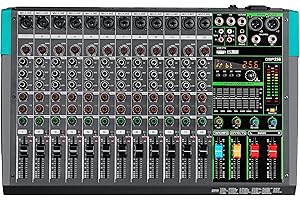 Depusheng PA12 Mixer audio professionale Scheda audio Console Sistema da scrivania Interfaccia 12 canali USB Bluetooth MP3 Ingresso computer Alimentazione phantom 48V Effetto riverbero 99 integrato