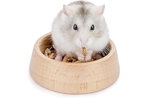 Niteangel Drewniana miska do karmienia chomika - naczynie dla małych zwierząt dla karłowatych chomików syryjskich myszoskoczków myszoskoczków lub innych podobnych rozmiarów małych zwierząt (wzór