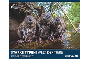 PALAZZI Starke Typen Posterkalender 2024, im Format 60 x 50 cm, Monatskalender zum aufhängen, Kalender mit Bilder majestätischer Tiere: Wildlife Photography
