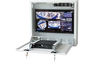 TLY TECHLY TECHLY Professional 104448 Box di Sicurezza per DVR e sistemi di videosorveglianza Grigio Grigio