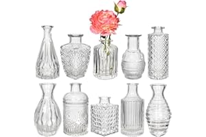 UPCHASE Jarrones de Cristal, 10 Piezas Jarrones Decorativos Cristal, Boda Decoracion Jarrón Cristal, Jarrones para Flores, Mini Mesa Decoración Botellas Vintage, Decoración Boda, Decoracion Mesa