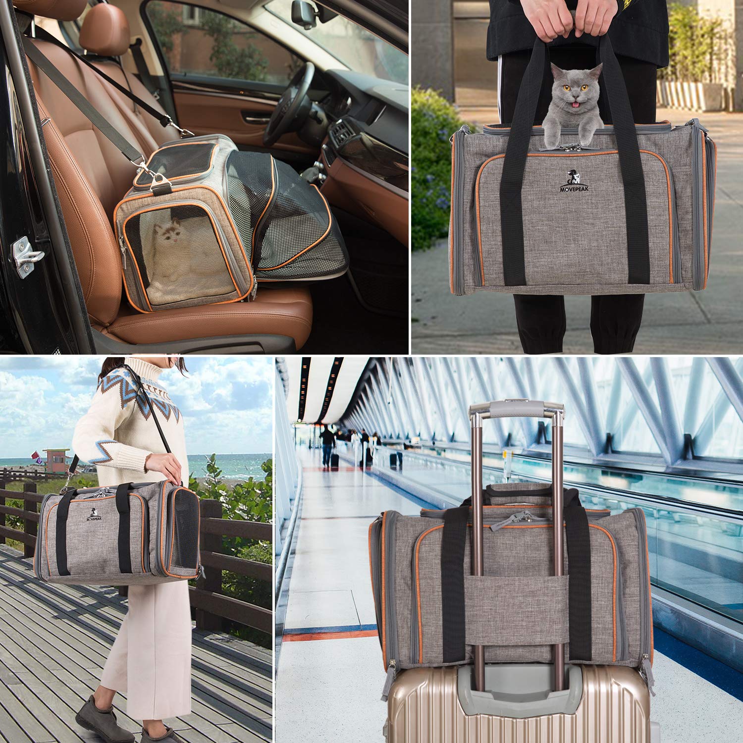 Sac-Transport-Chat-Transport-Des-Petits-Animaux-Luxe-Sacs-De-Transport-Pour-Chiens