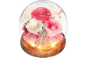 WYRIAZA Rosa Stabilizzata Vera in Vetro,Rosa Eterna Regalo Donna Mamma Fidanzata Moglie Compleanno,Idee Regalo Natale Donna Mamma,Regalo Festa Della Mamma,Idee Regalo San Valentino per Lei