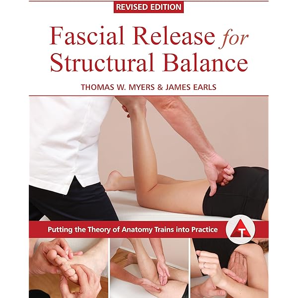 Anatomy Trains with Tom Myers DVD 全8巻 718k5rynhOL.jpg