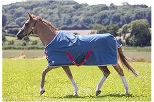 Shires Tempest Original Lite Turnout Rug - Teal